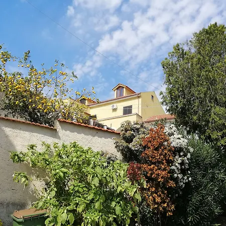 B&B Moscani-2